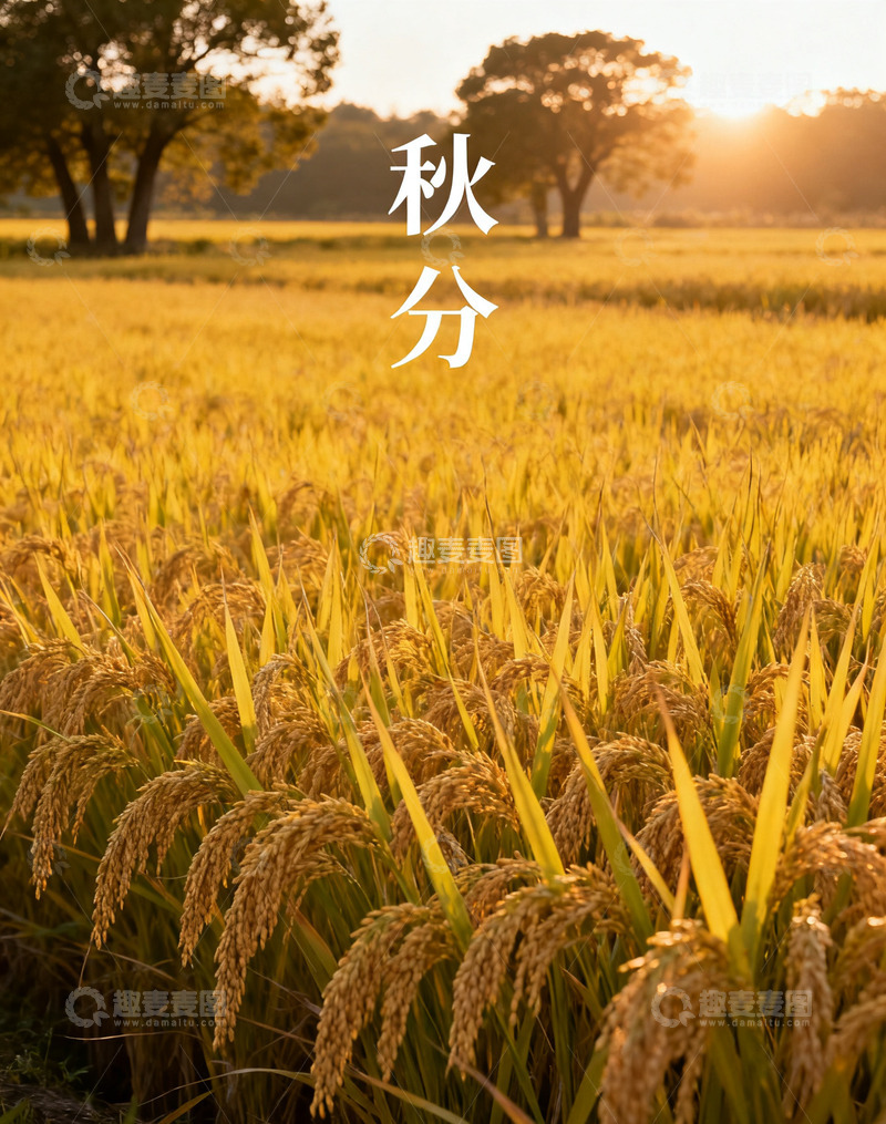 高清大图下载【趣麦麦图】秋分&mdash;秋收冬藏1