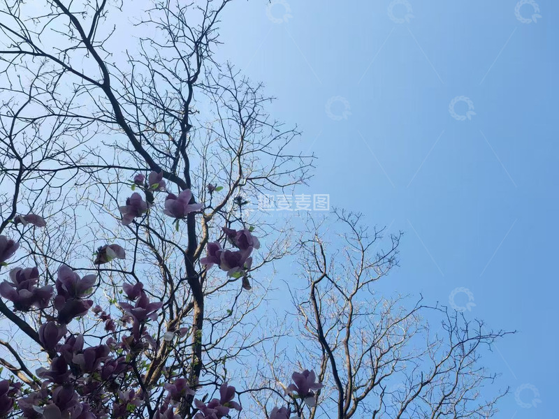 高清大图下载【趣麦麦图】蓝天云彩图美景