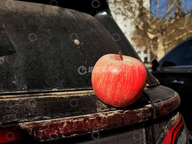 一个苹果静物摄影图