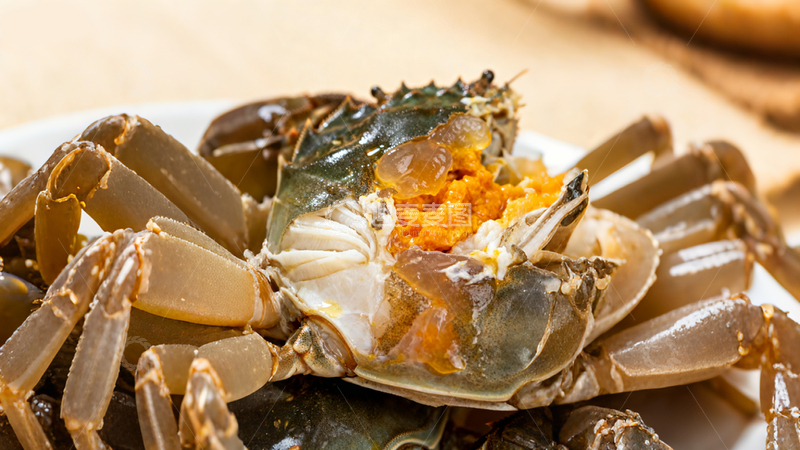 源文件下载【趣麦麦图】新鲜螃蟹摄影2