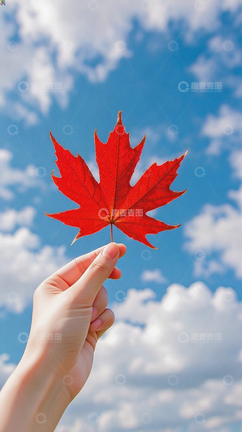 高清大图下载【趣麦麦图】手持红枫叶蓝天白云壁纸