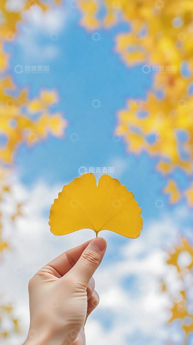 高清大图下载【趣麦麦图】手持银杏叶蓝天白云壁纸