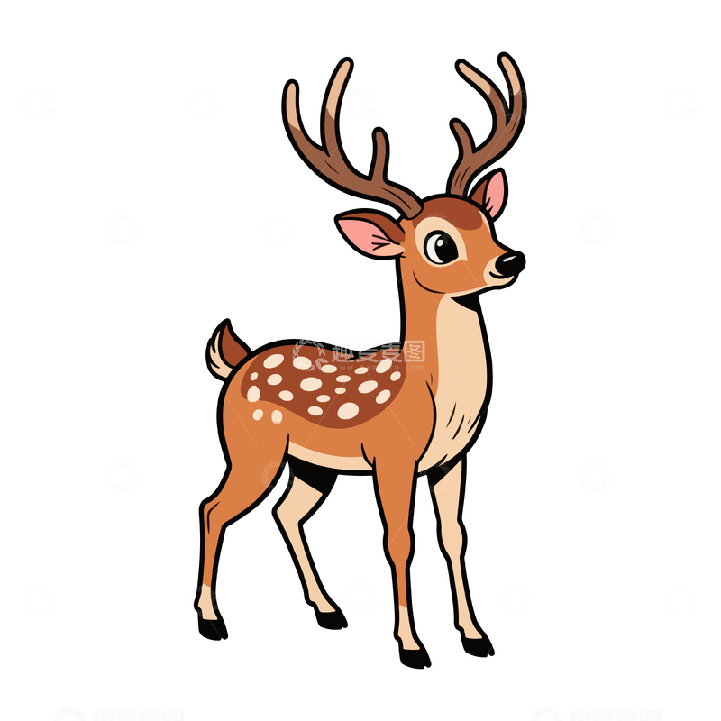 一只漂亮梅花鹿