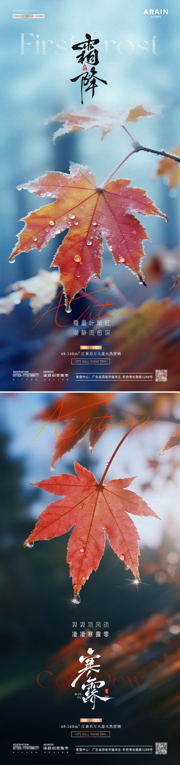 地产寒露霜降枫叶露珠风景海报