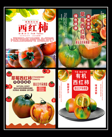 西红柿海报系列
