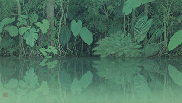 森林湖边插画背景2