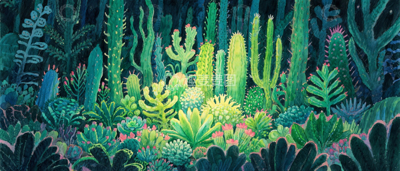 高清大图下载【趣麦麦图】仙人掌多肉森林 1