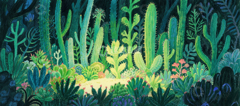 高清大图下载【趣麦麦图】仙人掌多肉森林3