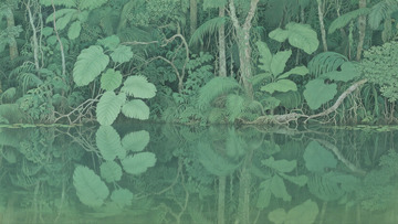 森林湖边插画背景3