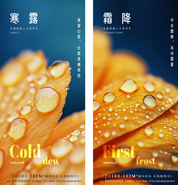 寒露花瓣露珠海报