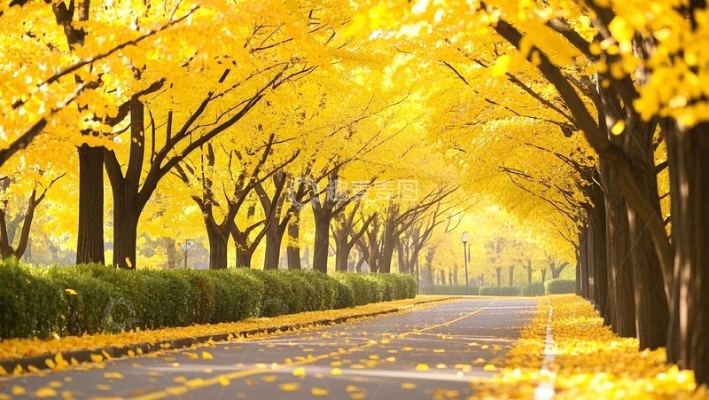 高清大图下载【趣麦麦图】秋天唯美风景3