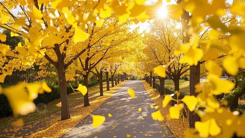 高清大图下载【趣麦麦图】秋天唯美风景1