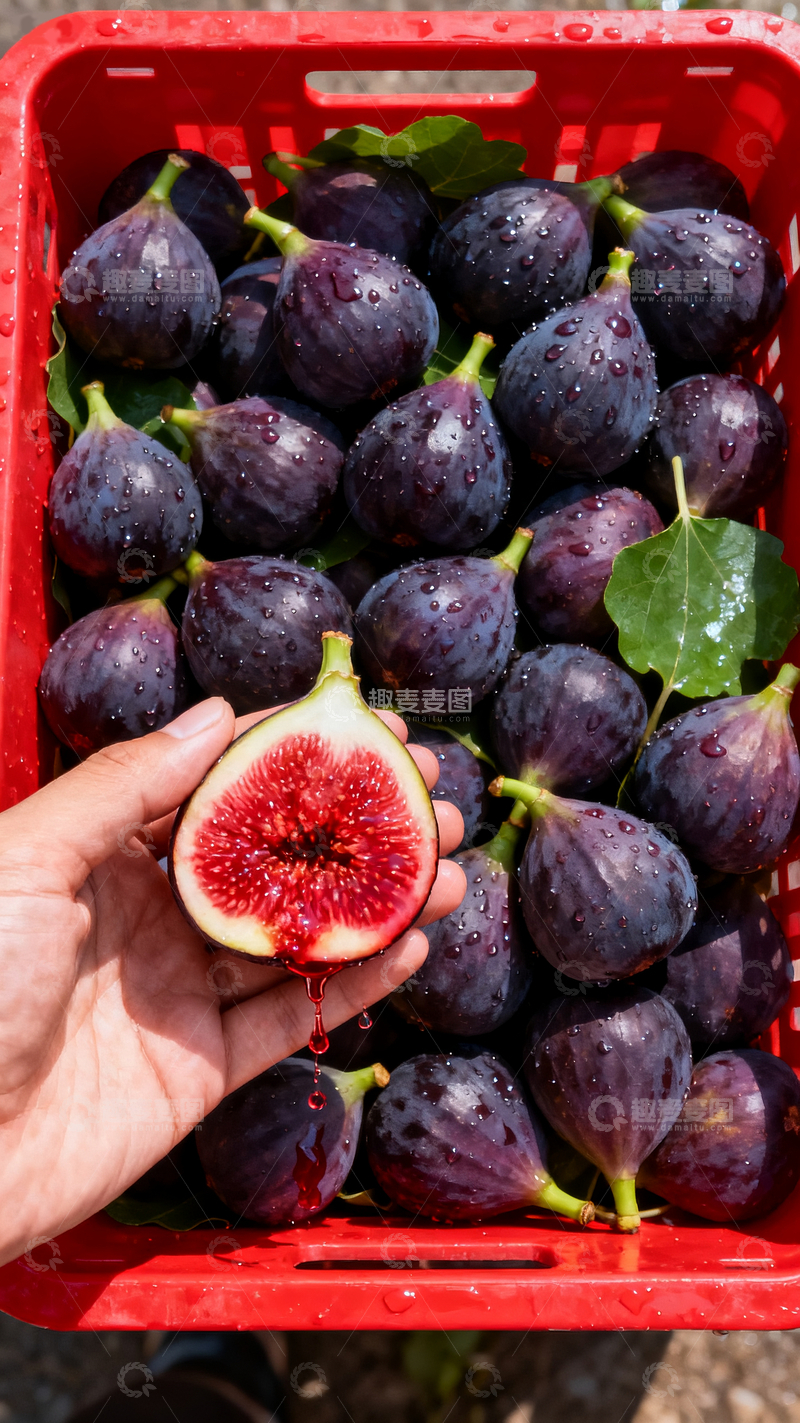 源文件下载【趣麦麦图】-新鲜无花果4