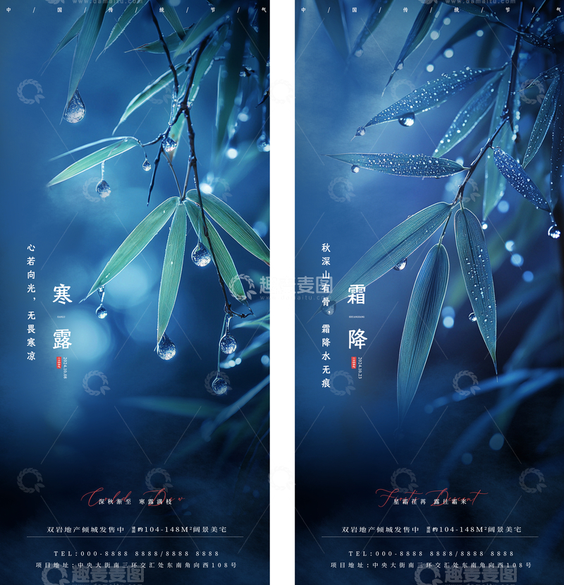 寒露霜降秋雨节气海报