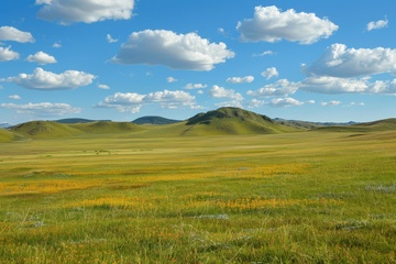 大草原绿草自然美景