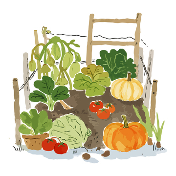 菜园子水彩插画