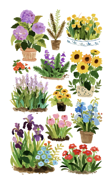 各种鲜花水彩插画