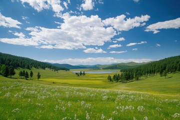 大草原绿地蓝天白云