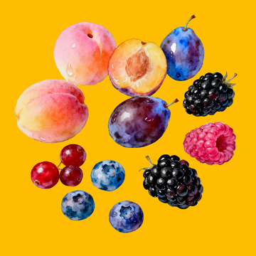 水彩莓果水果1