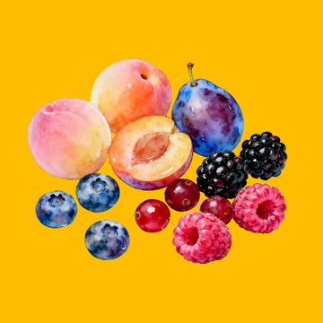 水彩莓果水果4