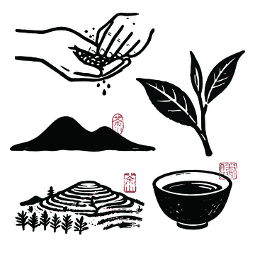 茶文化元素插画