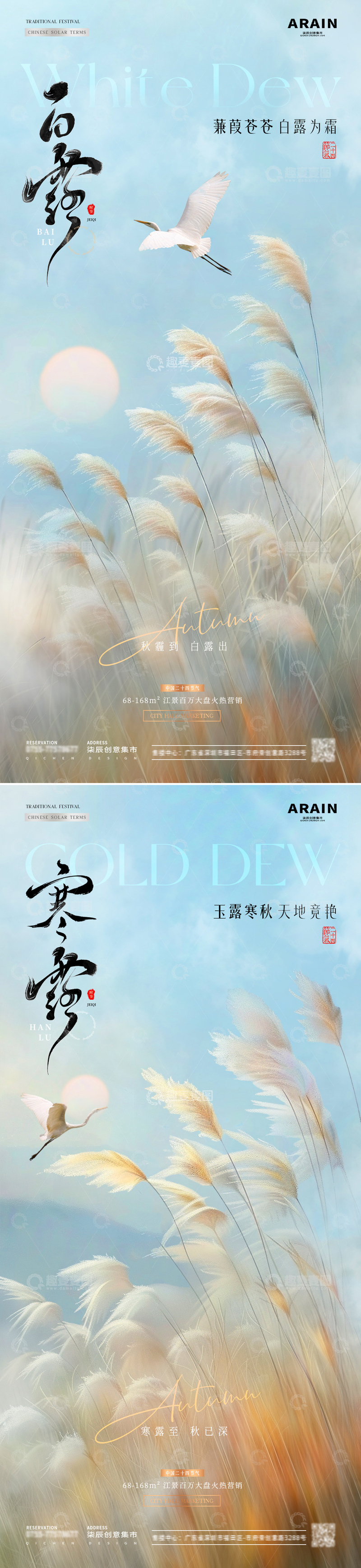 地产白露寒露芦苇草海报