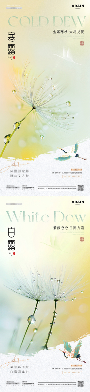 地产白露寒露树叶露珠海报