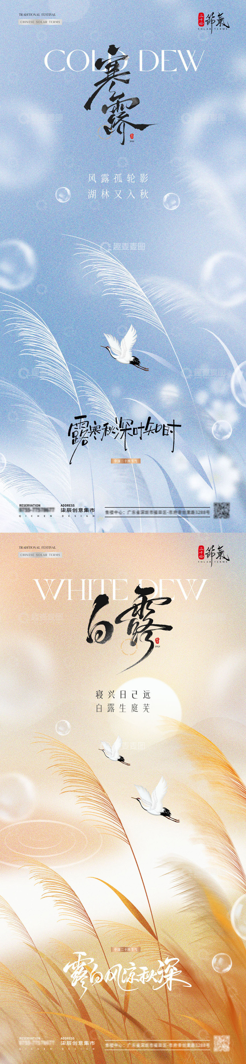 地产白露寒露芦苇风景海报
