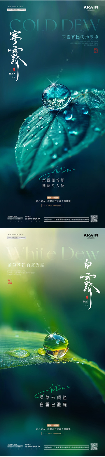 地产白露寒露树叶露珠海报
