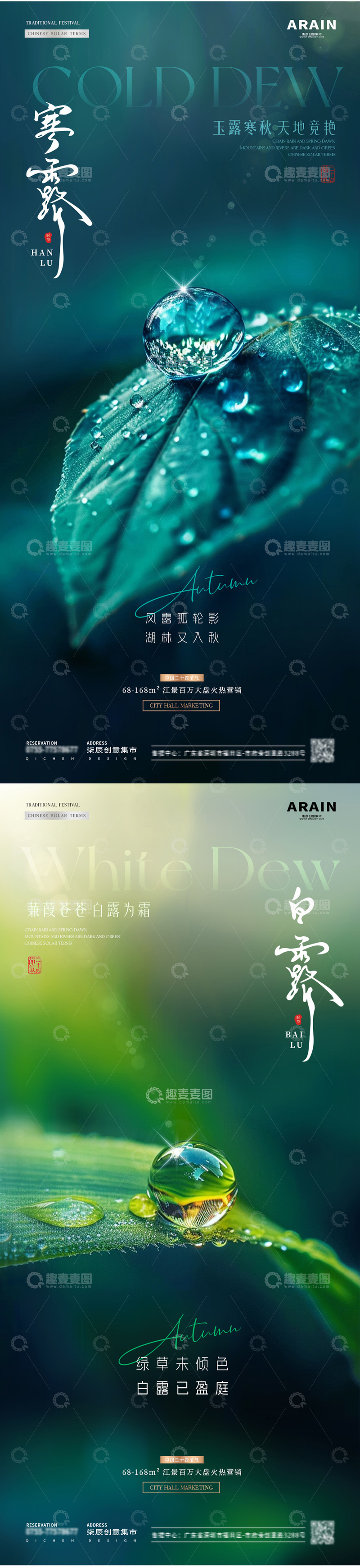 地产白露寒露树叶露珠海报