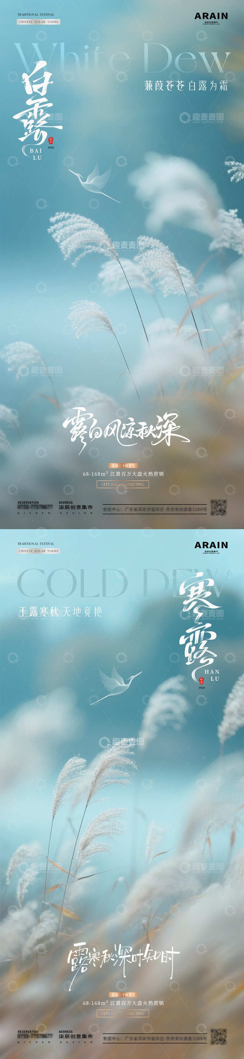 地产白露寒露芦苇风景海报