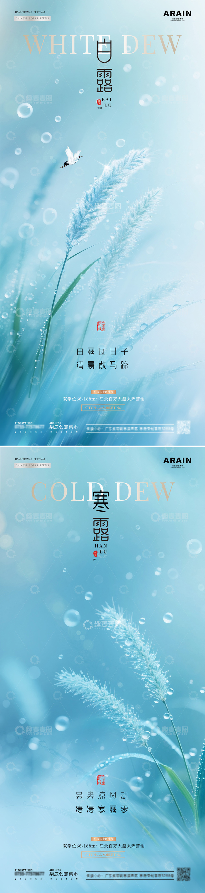 地产白露寒露芦苇露珠清新海报