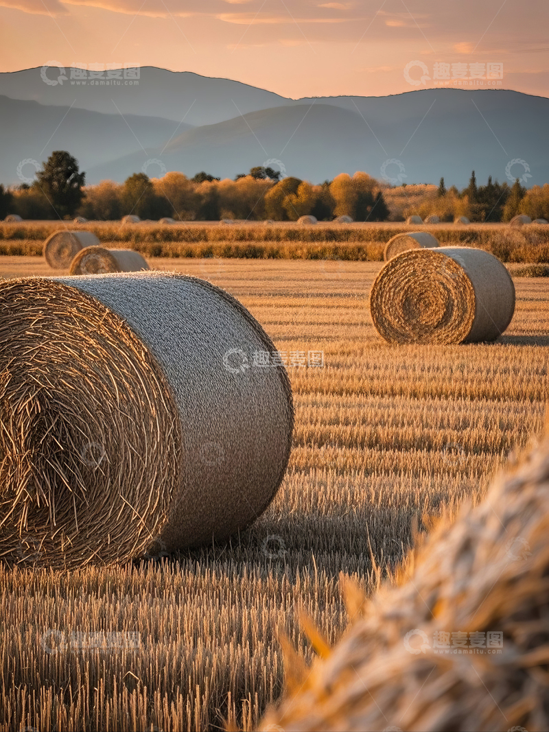 高清大图下载【趣麦麦图】金秋田野中的干草垛