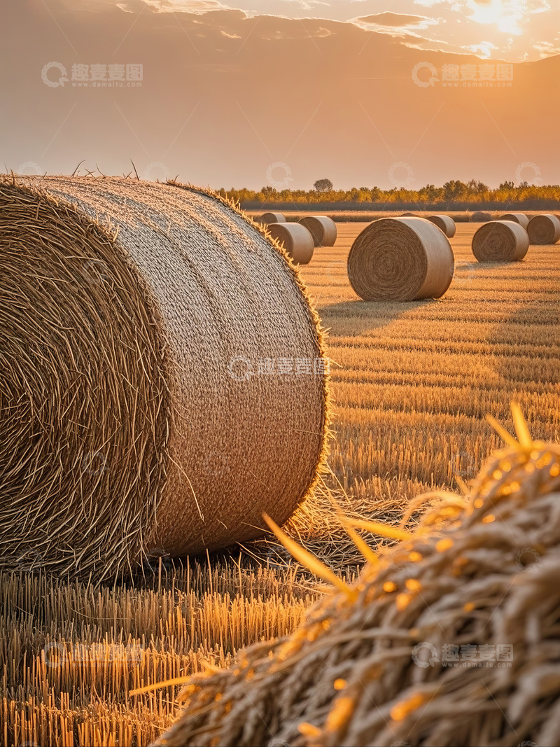 高清大图下载【趣麦麦图】金秋田野中的干草卷