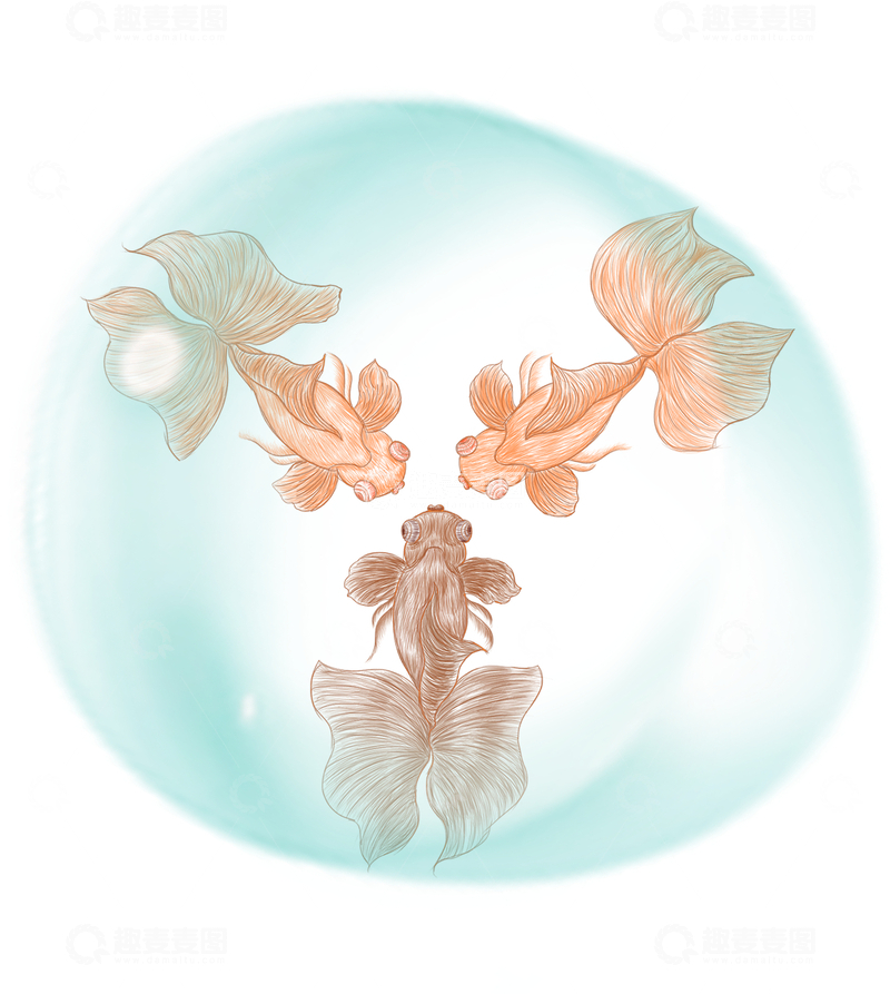 中国风锦鲤金鱼免扣素材