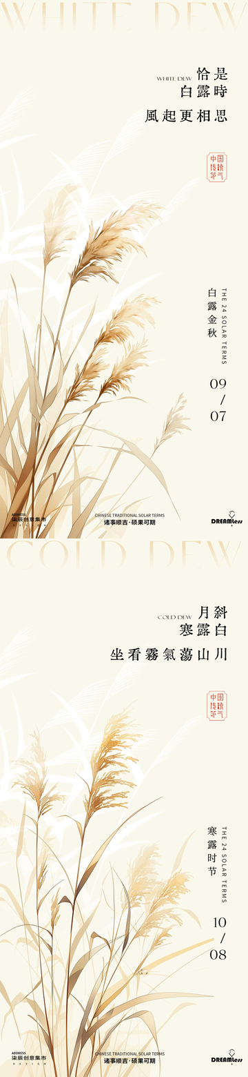 白露寒露简约芦苇海报