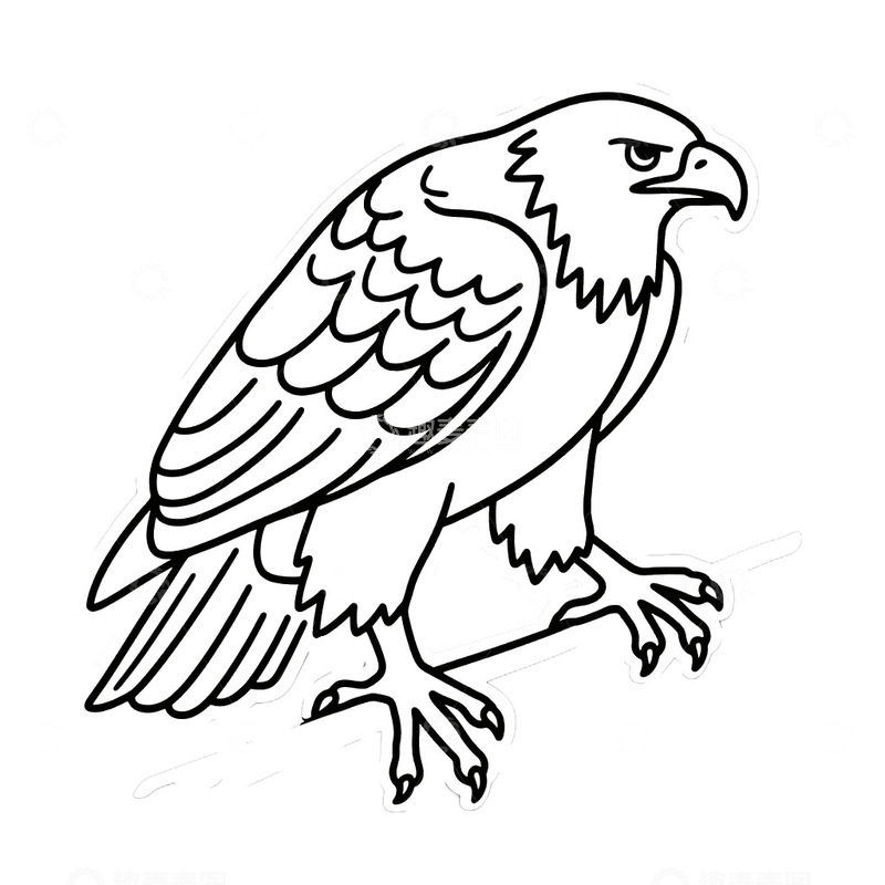 高清大图下载【趣麦麦图】线描老鹰鸟类免抠元素