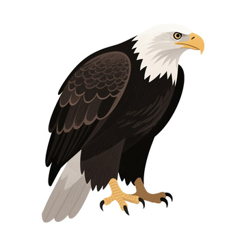 老鹰鸟类免抠元素