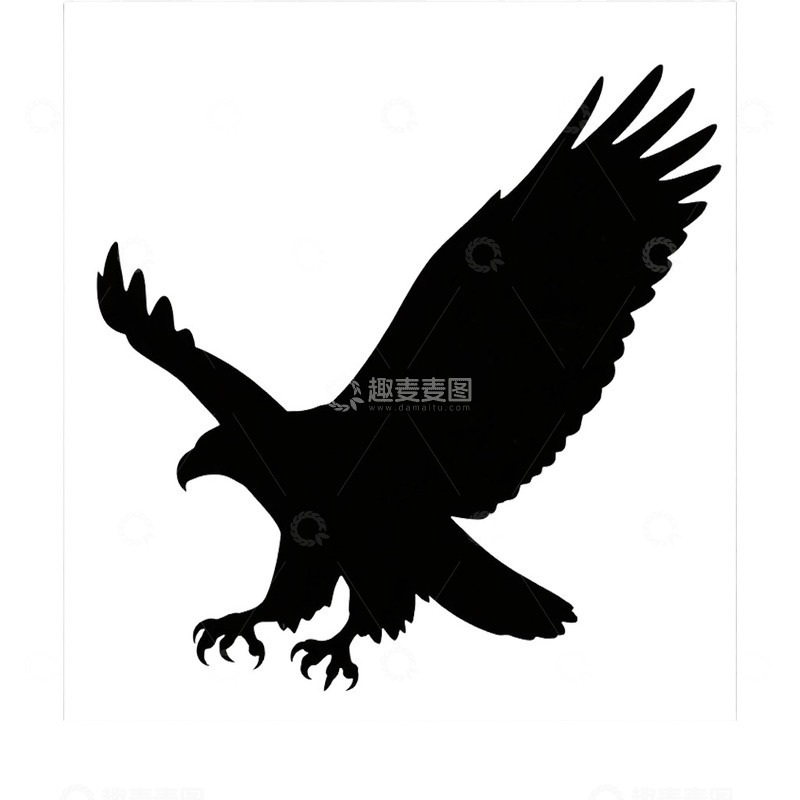 高清大图下载【趣麦麦图】剪影老鹰鸟类免抠元素