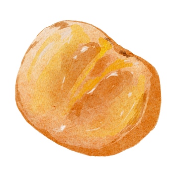 水彩风格美食水果柿子