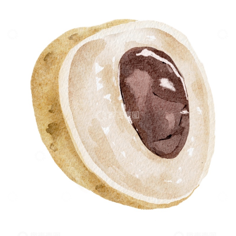 源文件下载【趣麦麦图】水彩风格龙眼水果