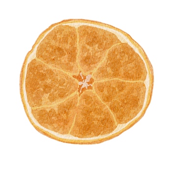 水彩风格秋季冬季水果橙子