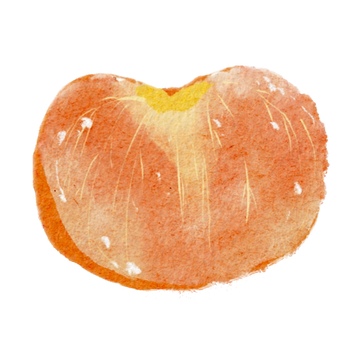 水彩风格水果美食柿子