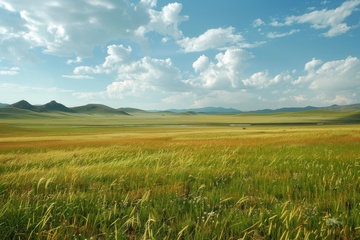 大草原自然美景