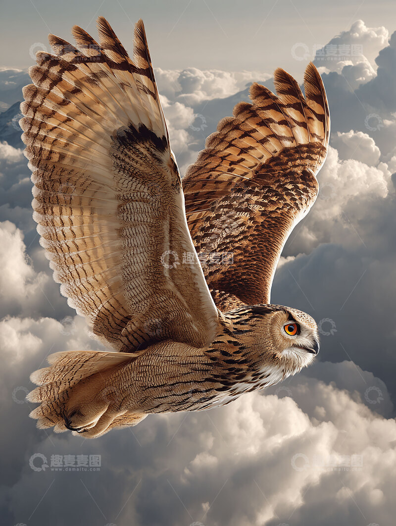 高清大图下载【趣麦麦图】雕鸮  夜目  凌云 