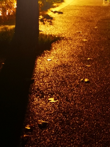 金色落日唯美小道