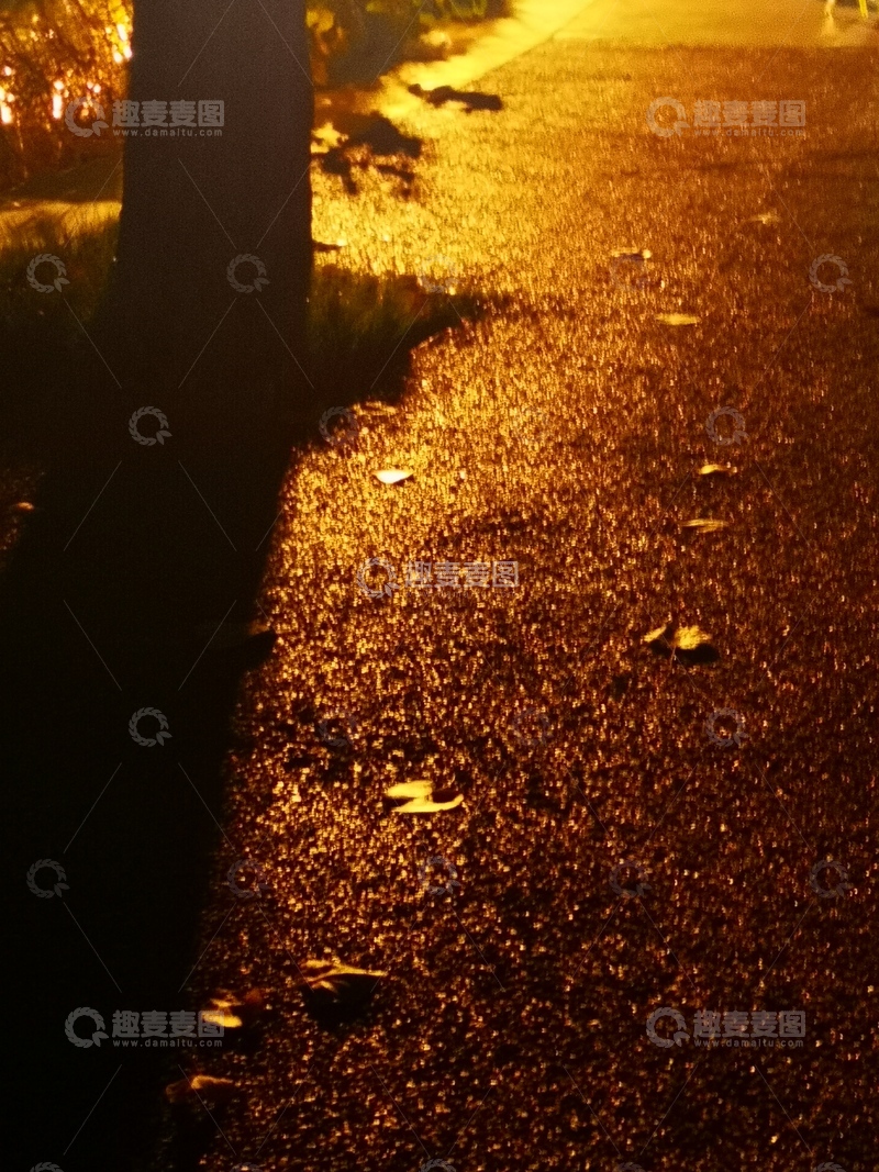 金色落日唯美小道