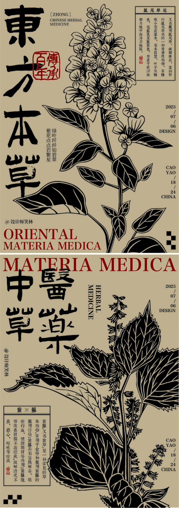 东方草本植物中医草药手绘海报设计
