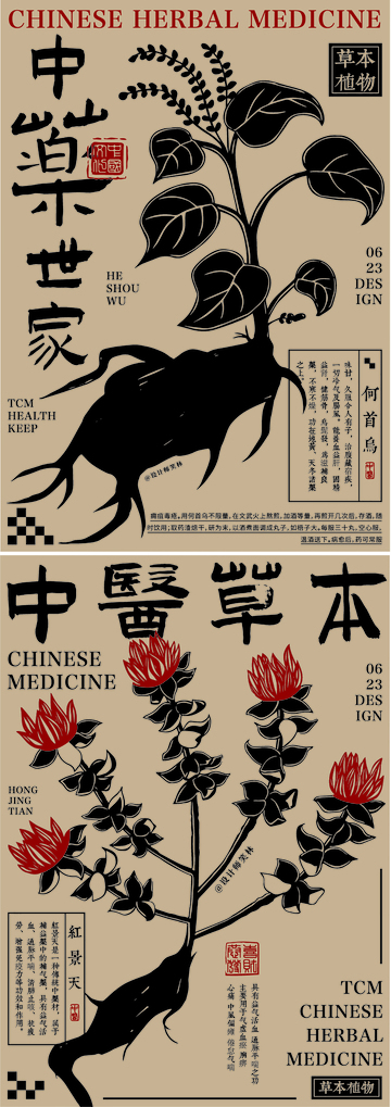东方草本植物中医中药手绘海报设计