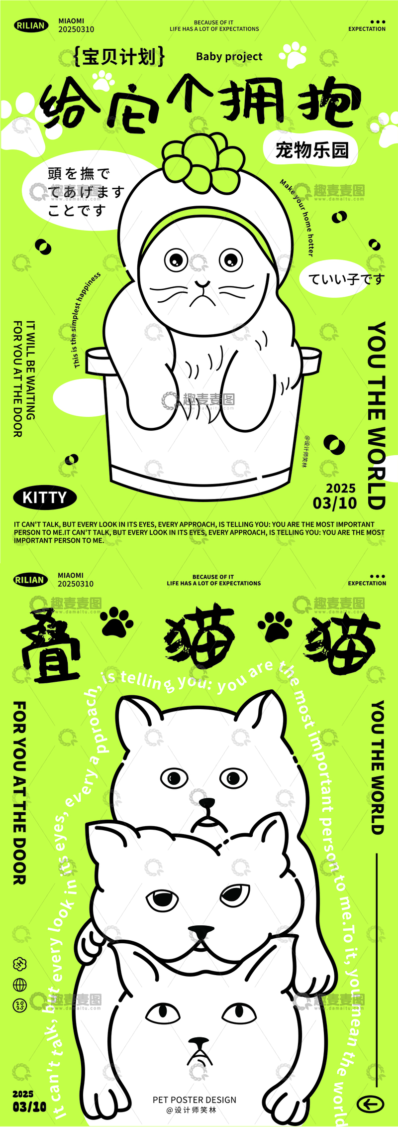 可爱萌宠猫咪系列海报设计